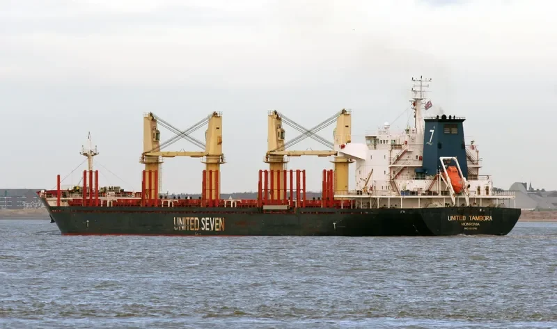ASIA PEARL II Bulk Carrier IMO 9502740 photo 5