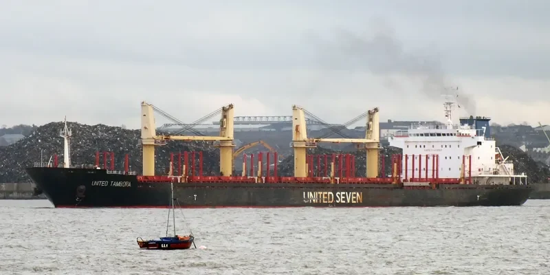 ASIA PEARL II Bulk Carrier IMO 9502740 photo 6