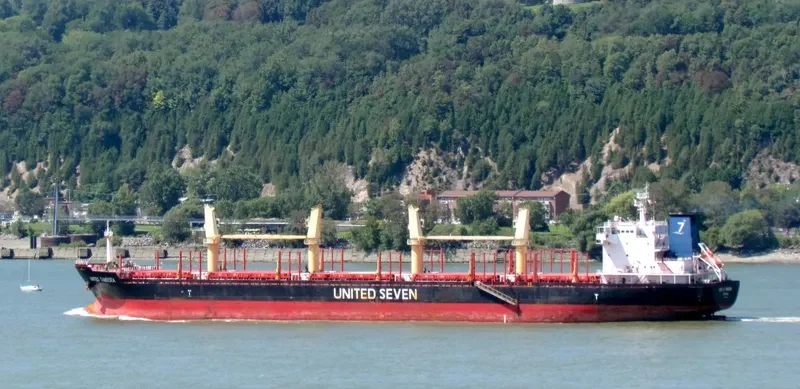 ASIA PEARL II Bulk Carrier IMO 9502740 photo 7