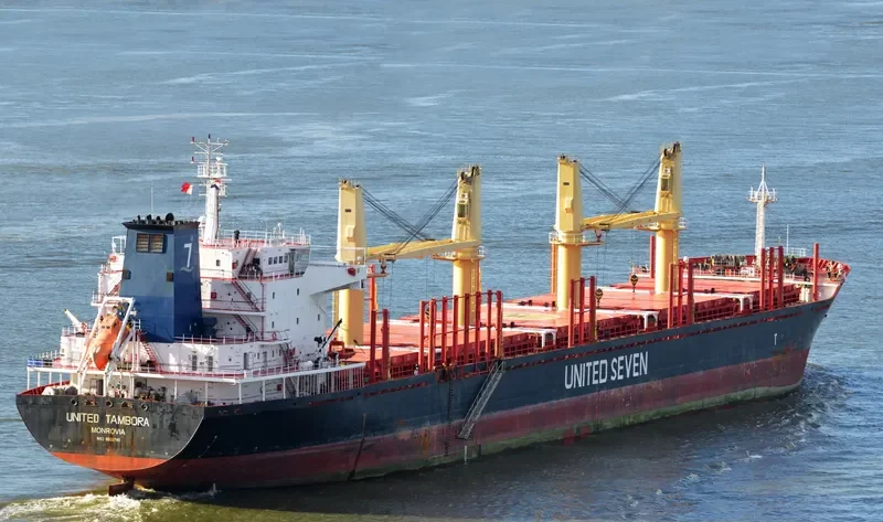 ASIA PEARL II Bulk Carrier IMO 9502740 photo 8