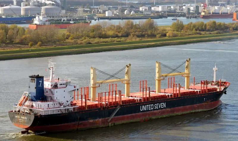 ASIA PEARL II Bulk Carrier IMO 9502740 photo 9