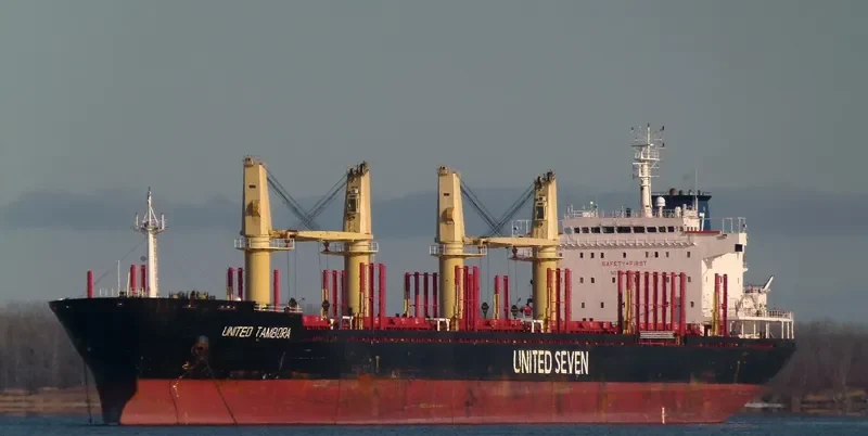 ASIA PEARL II Bulk Carrier IMO 9502740 photo 10