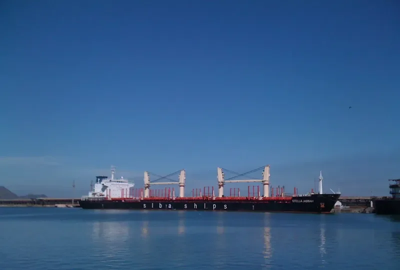 TASMAN SPIRIT Bulk Carrier IMO 9502752 photo 2