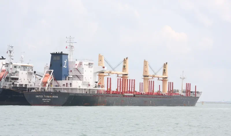 TASMAN SPIRIT Bulk Carrier IMO 9502752 photo 3