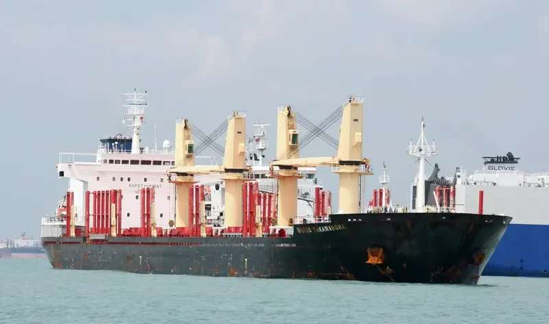TASMAN SPIRIT Bulk Carrier IMO 9502752 photo 4