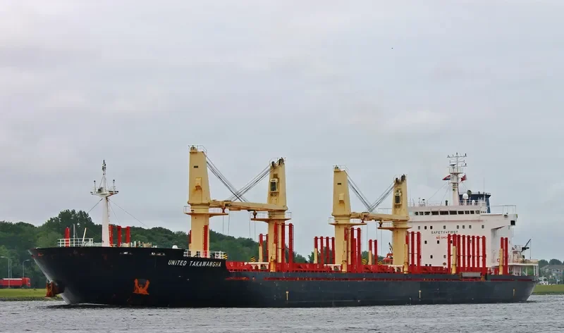 TASMAN SPIRIT Bulk Carrier IMO 9502752 photo 10