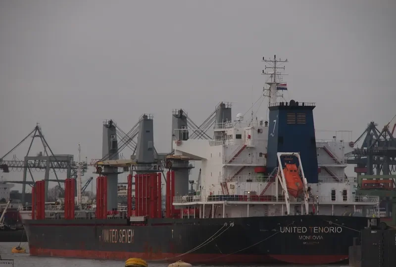 AGIA DYNAMI Bulk Carrier IMO 9502764 photo 2