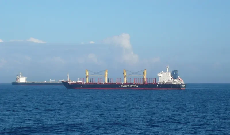 AGIA DYNAMI Bulk Carrier IMO 9502764 photo 7