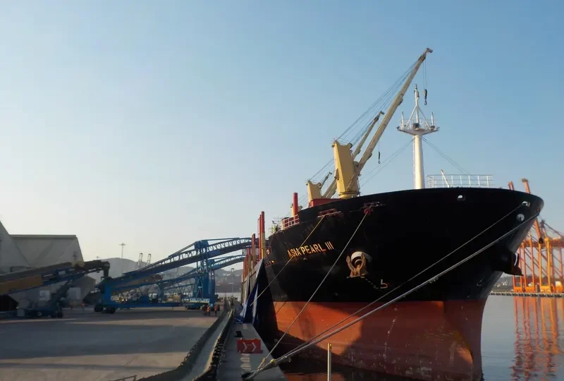 ASIA PEARL III Bulk Carrier IMO 9502776 photo 4