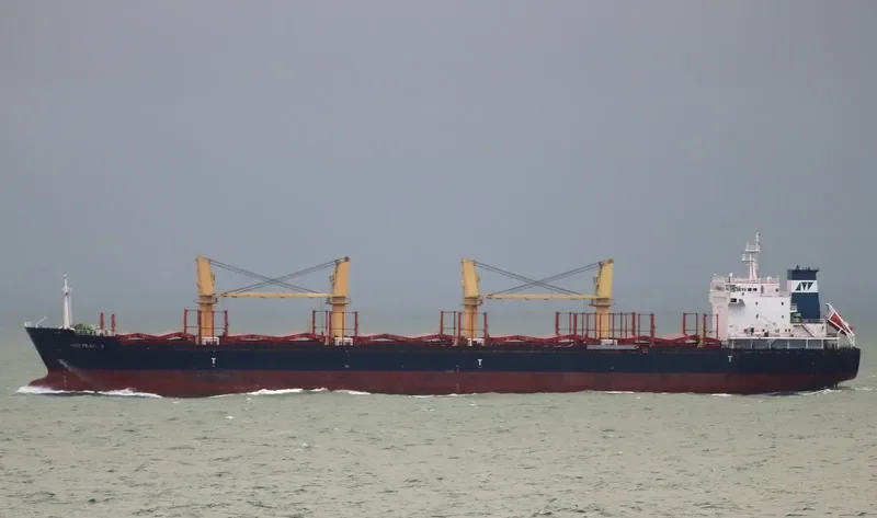 ASIA PEARL III Bulk Carrier IMO 9502776 photo 6