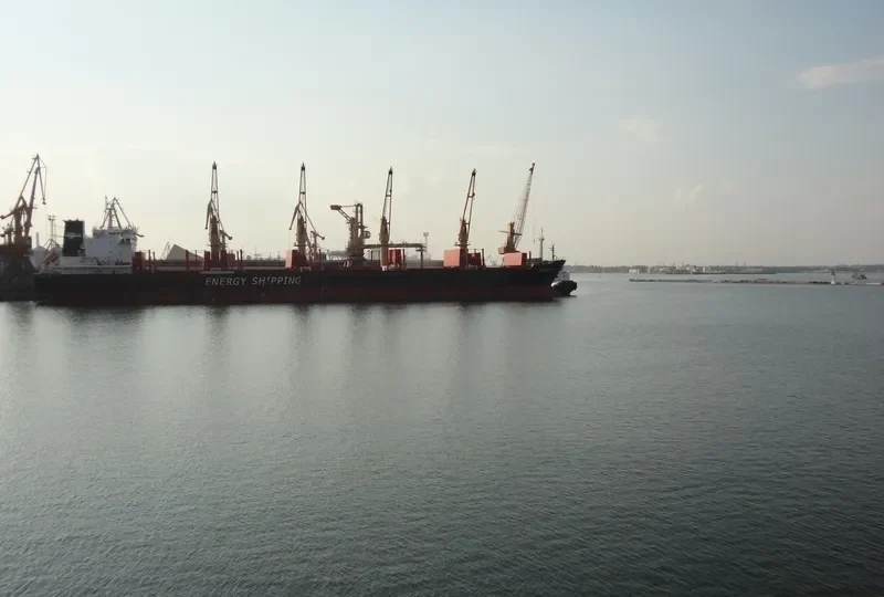 ASIA PEARL III Bulk Carrier IMO 9502776 photo 7