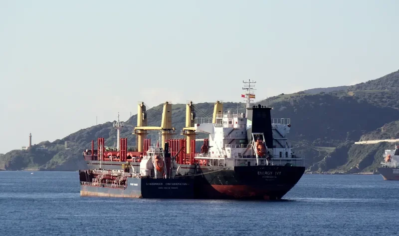 ASIA PEARL III Bulk Carrier IMO 9502776 photo 8