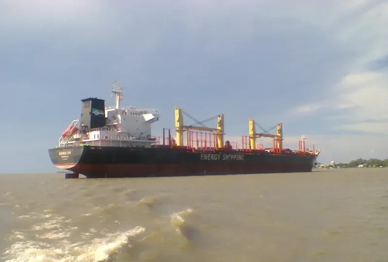 ASIA PEARL III Bulk Carrier IMO 9502776 photo 9
