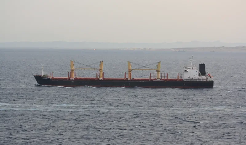 ASIA PEARL III Bulk Carrier IMO 9502776 photo 10
