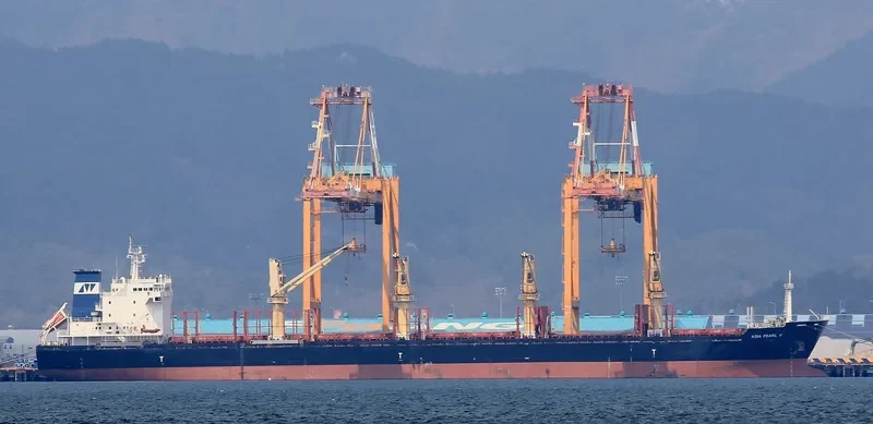 ARGOS M Bulk Carrier IMO 9502788