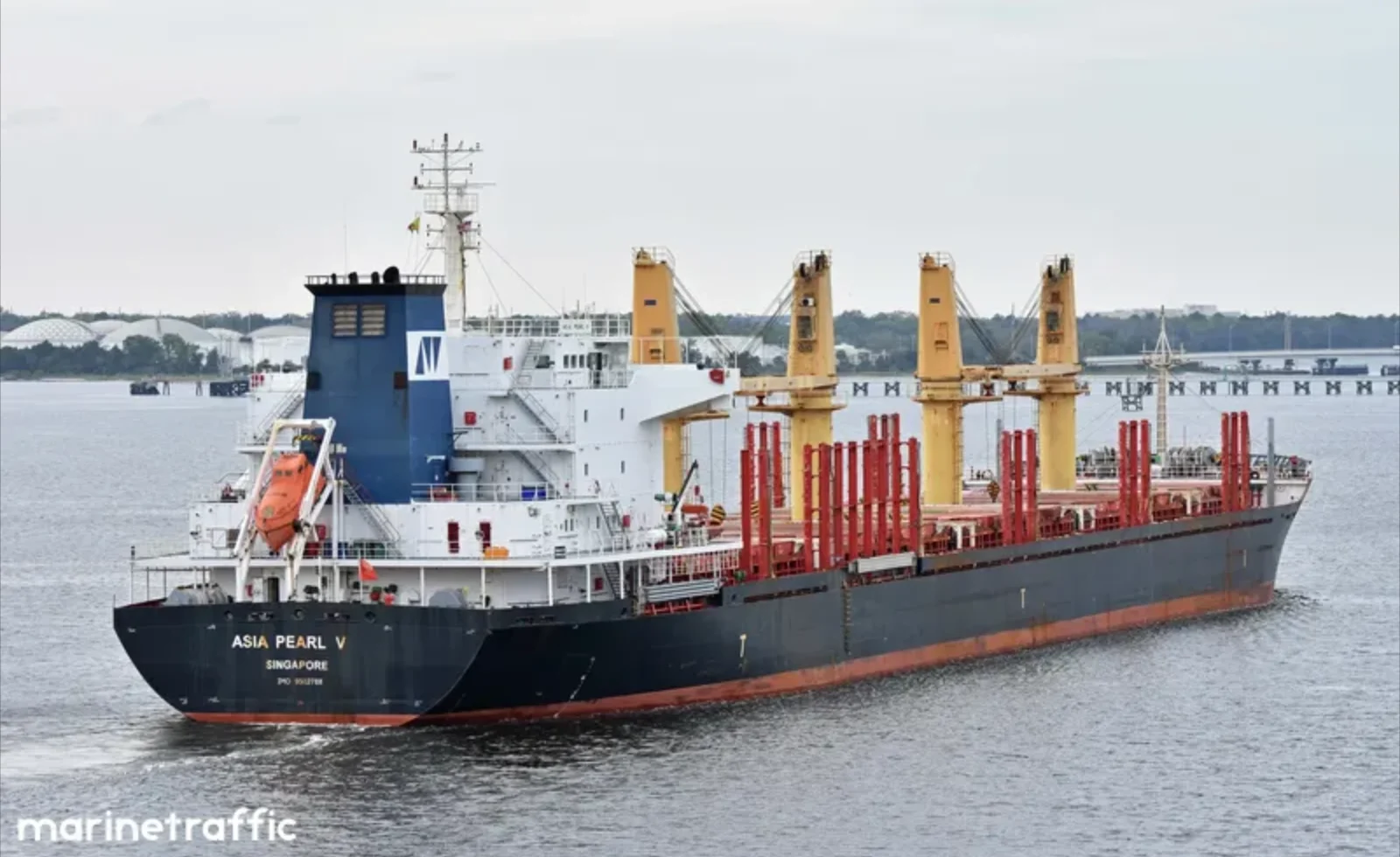 ARGOS M Bulk Carrier IMO 9502788 photo 3