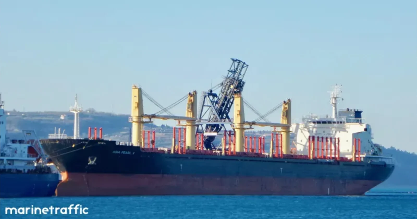 ARGOS M Bulk Carrier IMO 9502788 photo 5