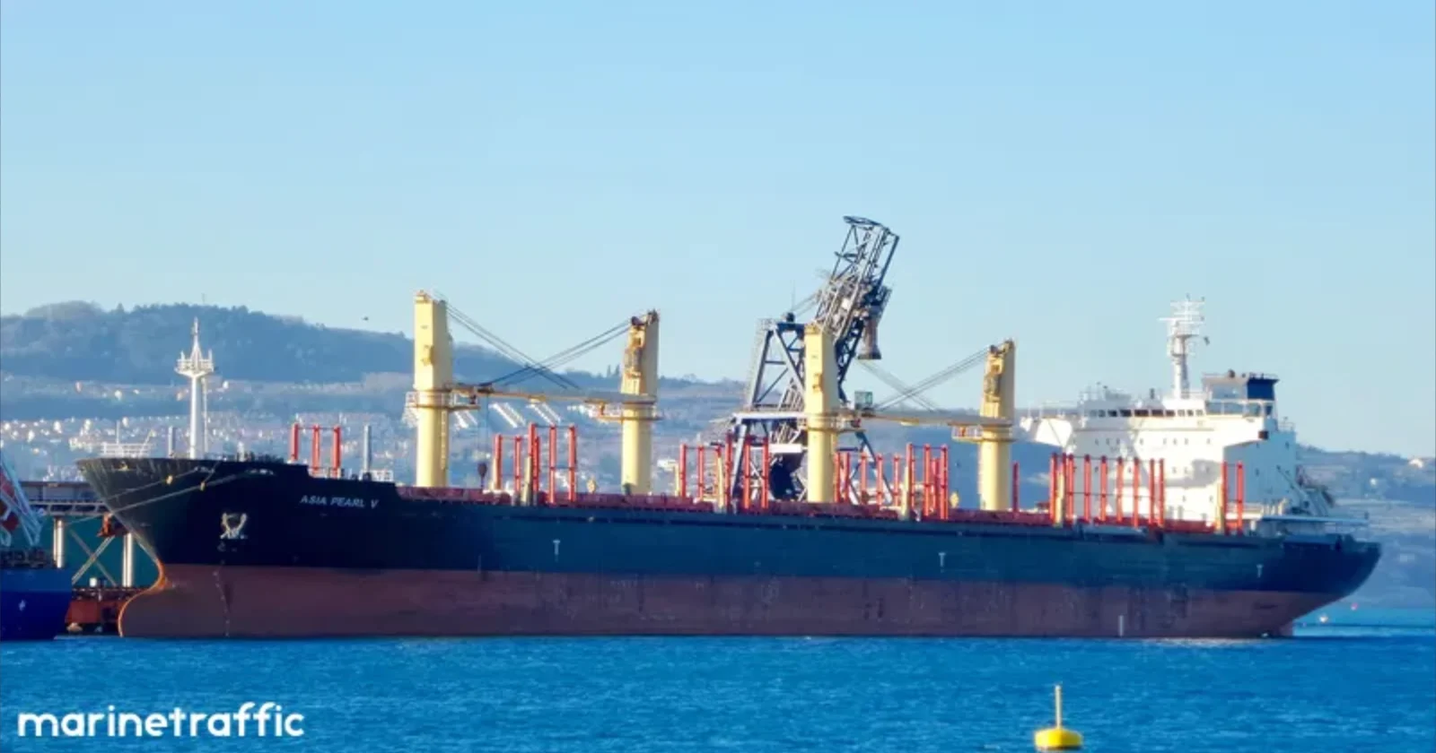 ARGOS M Bulk Carrier IMO 9502788 photo 32
