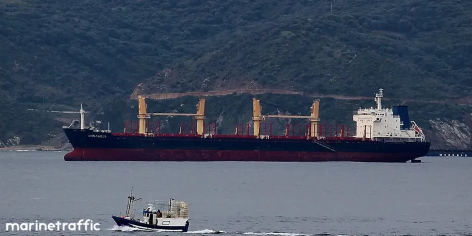 ARGOS M Bulk Carrier IMO 9502788 photo 38