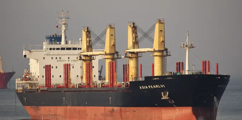 SEAMELODY Bulk Carrier IMO 9502790 photo 2