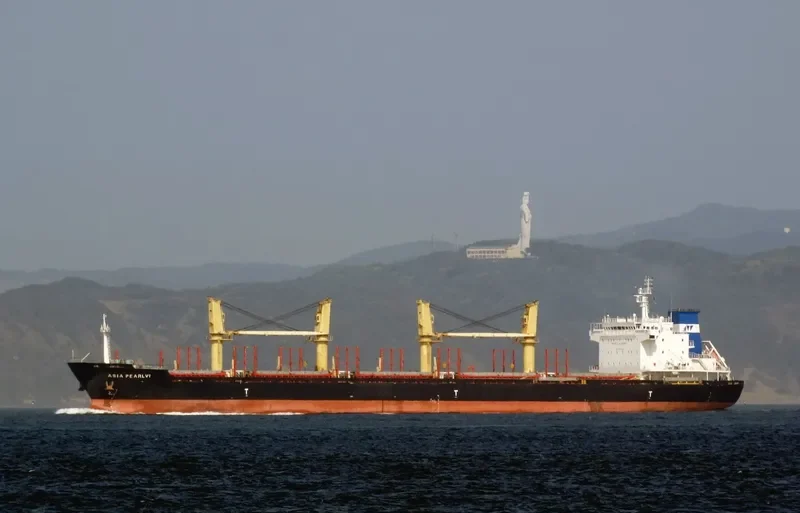 SEAMELODY Bulk Carrier IMO 9502790 photo 3
