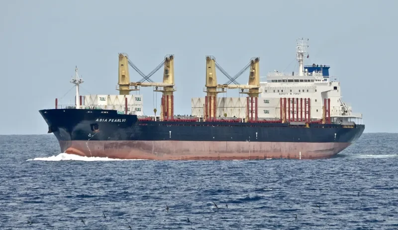 SEAMELODY Bulk Carrier IMO 9502790 photo 7