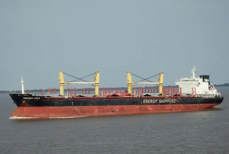 SEAMELODY Bulk Carrier IMO 9502790 photo 10