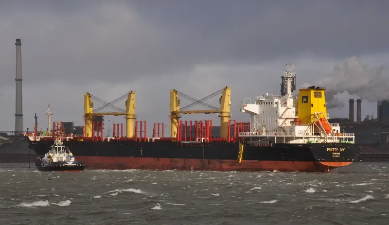 PRETTY IVY Bulk Carrier IMO 9502817
