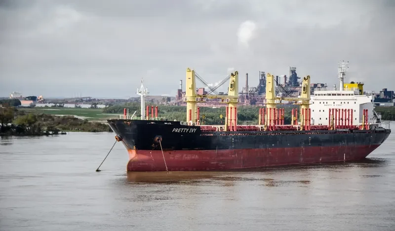 PRETTY IVY Bulk Carrier IMO 9502817 photo 4