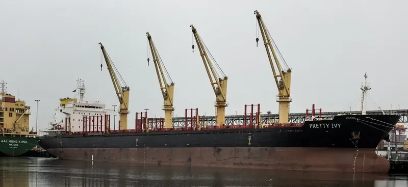 PRETTY IVY Bulk Carrier IMO 9502817 photo 7
