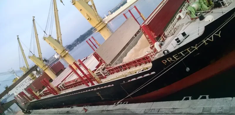 PRETTY IVY Bulk Carrier IMO 9502817 photo 8