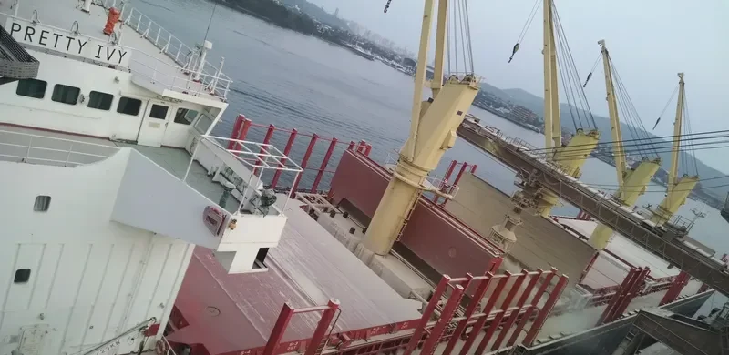 PRETTY IVY Bulk Carrier IMO 9502817 photo 9