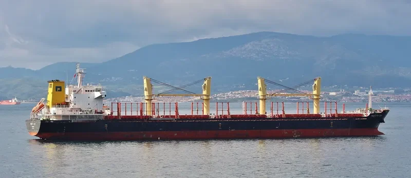 PRETTY IVY Bulk Carrier IMO 9502817 photo 10