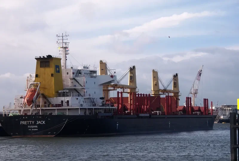 PRETTY JACK Bulk Carrier IMO 9502829 photo 2