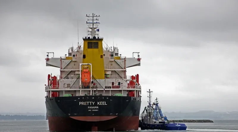 PRETTY KEEL Bulk Carrier IMO 9502831 photo 3