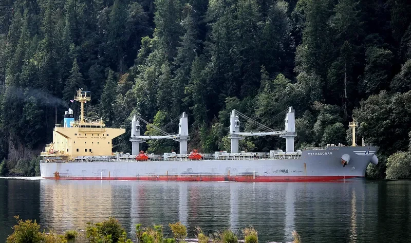 PYTHAGORAS Bulk Carrier IMO 9502855 photo 4