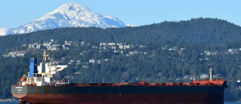 YOUNGHEUNG Bulk Carrier IMO 9502934 photo 3
