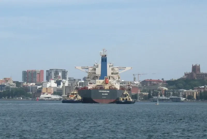 YOUNGHEUNG Bulk Carrier IMO 9502934 photo 4
