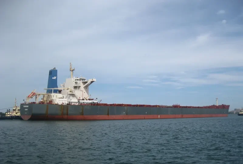 YOUNGHEUNG Bulk Carrier IMO 9502934 photo 6