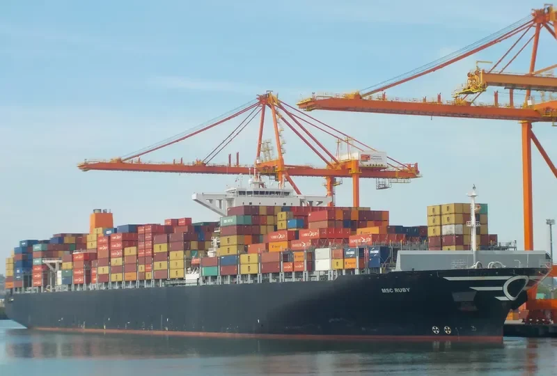 MSC RUBY Container Ship IMO 9502960