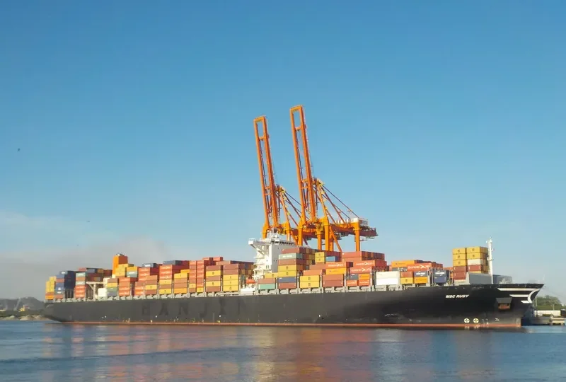 MSC RUBY Container Ship IMO 9502960 photo 2