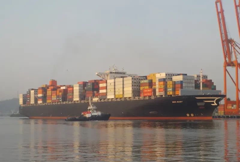 MSC RUBY Container Ship IMO 9502960 photo 3