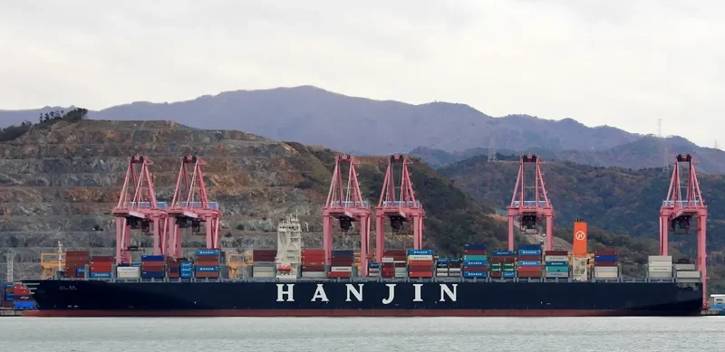 MSC RUBY Container Ship IMO 9502960 photo 4
