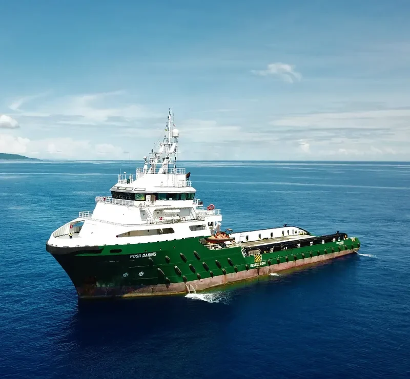 POSH DARING Offshore Vessel IMO 9503081 photo 3