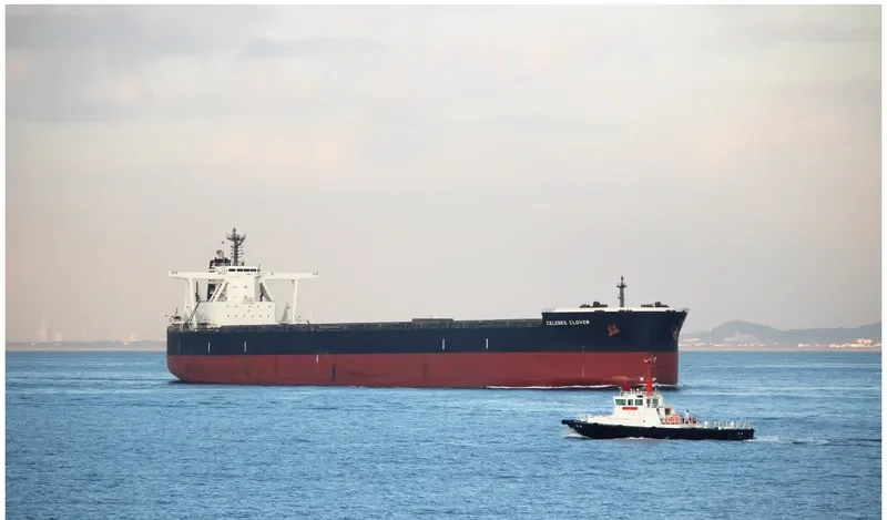 CELEBES CLOVER Bulk Carrier IMO 9503225