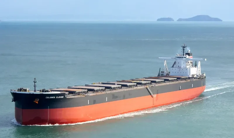 CELEBES CLOVER Bulk Carrier IMO 9503225 photo 2