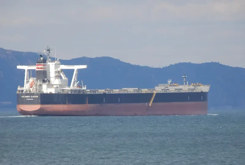 CELEBES CLOVER Bulk Carrier IMO 9503225 photo 4