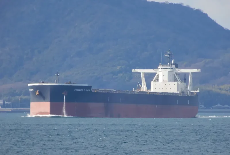 CELEBES CLOVER Bulk Carrier IMO 9503225 photo 7