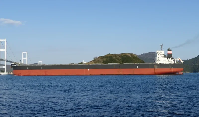 CELEBES CLOVER Bulk Carrier IMO 9503225 photo 8