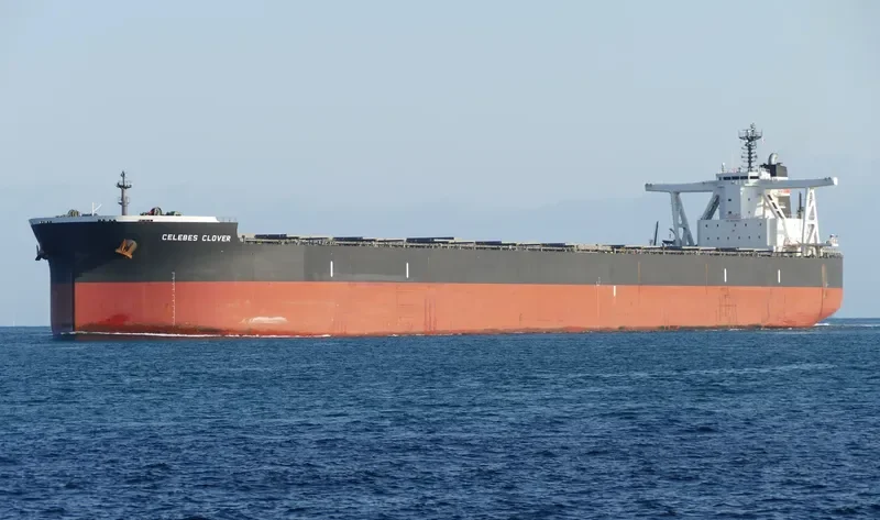 CELEBES CLOVER Bulk Carrier IMO 9503225 photo 10